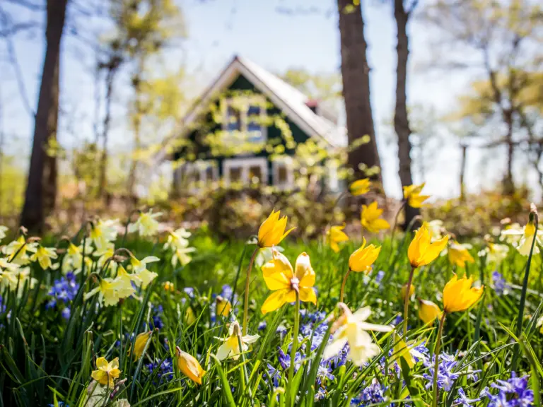 Vakantiehuis Kijkduin Midsland Noord Terschelling