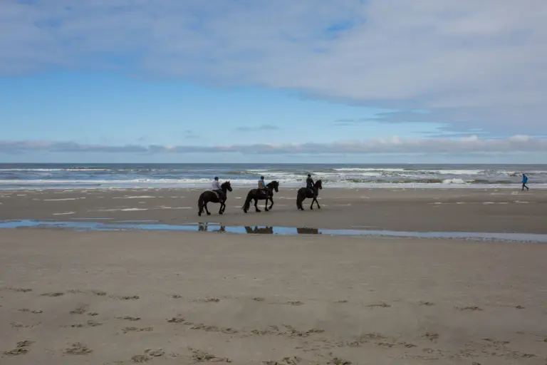 Een wandelaar en Drie ruiters te paard Noordzeestrand branding op Terschelling